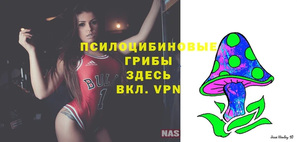 ALPHA PVP Алексин