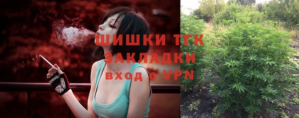 гашик Алексеевка