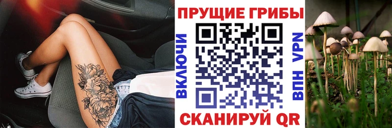 Псилоцибиновые грибы ЛСД  как найти закладки  Архангельск 